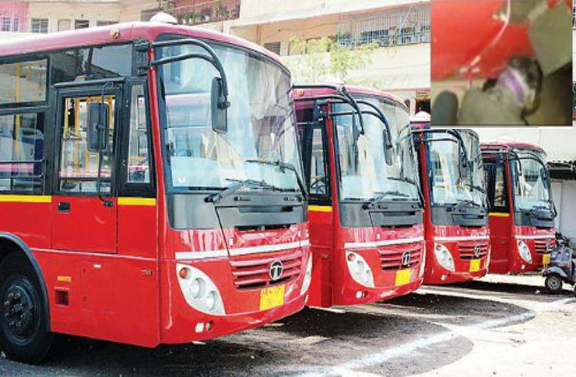 low-floor driver stealing diesel अफसरों ने रात दो बजे स्टिंग कर लो-फ्लोर चालक को डीजल चोरी करते पकड़ा, निलंबित