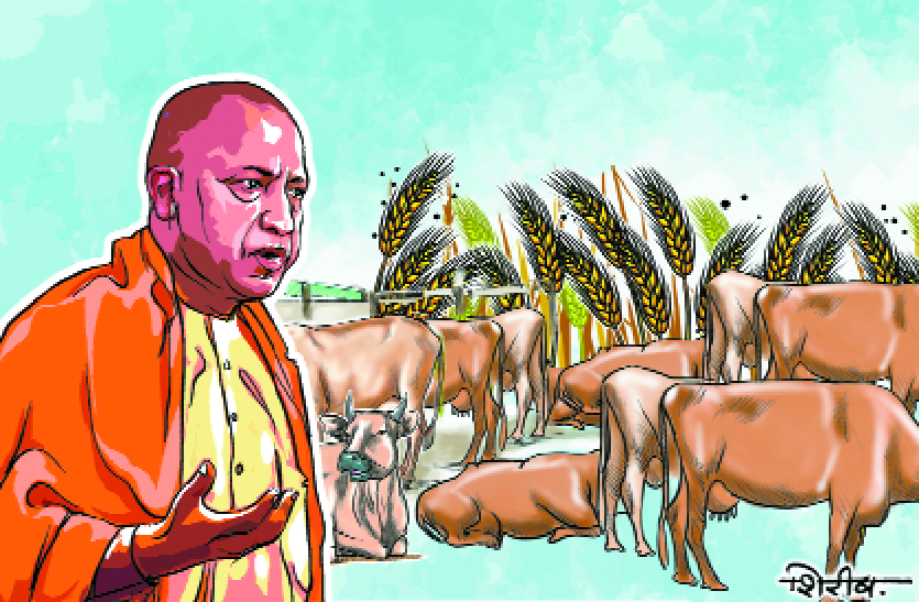 Yogi Adityanath आत्मघाती गो-केंद्रित राजनीति