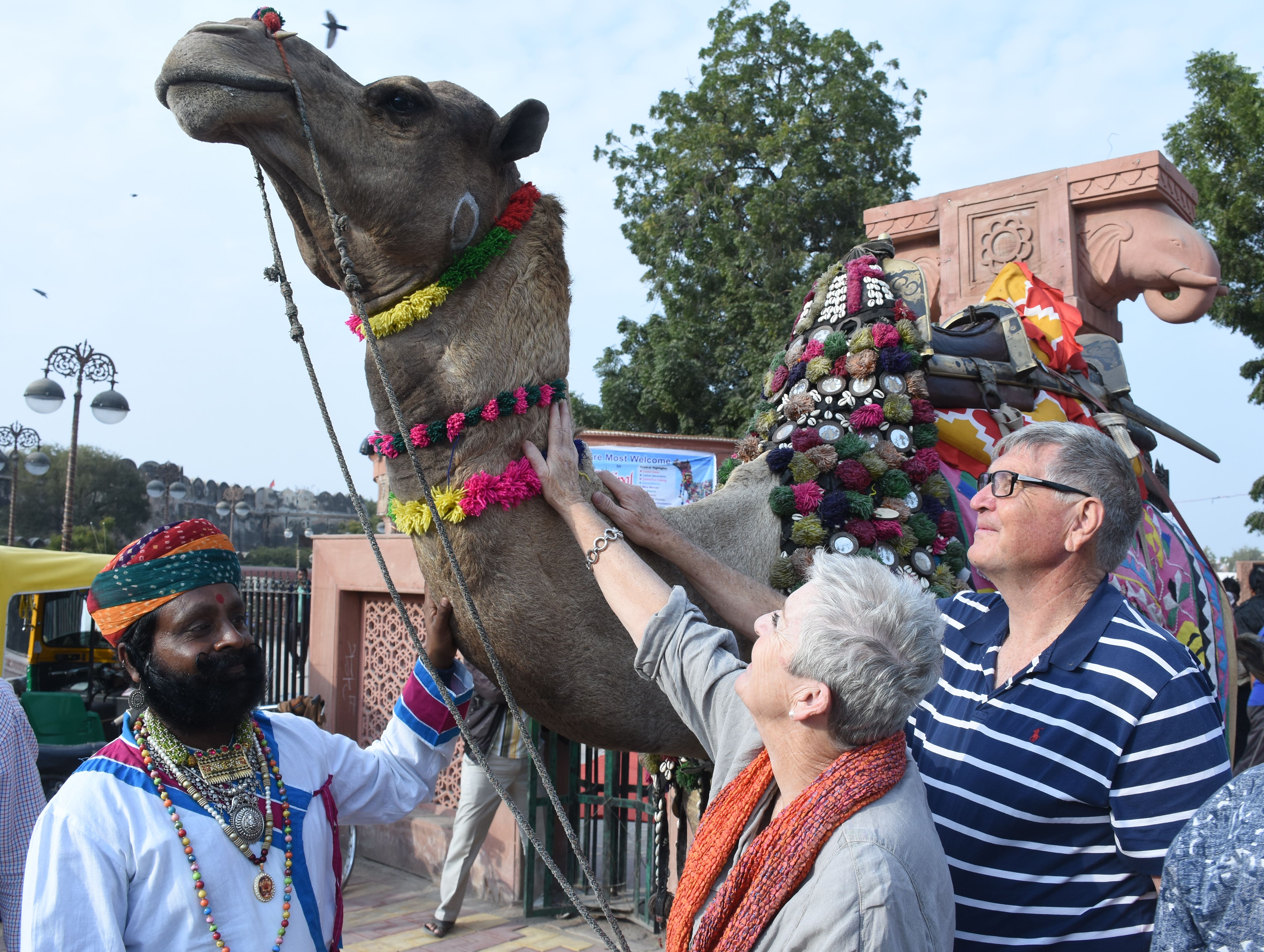 International Camel Festival 2019 à¤… à¤¤à¤°à¤° à¤· à¤Ÿ à¤° à¤¯ à¤Š à¤Ÿ à¤‰à¤¤ à¤¸à¤µ 2019 à¤¶à¤¨ à¤µ à¤° à¤¸ Patrika News