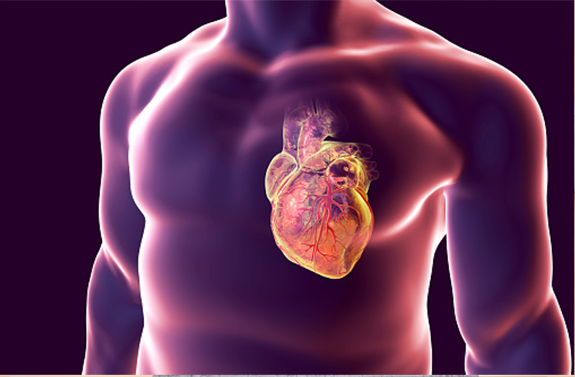 know-about-heart-maintain एेसे करें हार्ट का मेंटिनेंस, जानें ये टिप्स