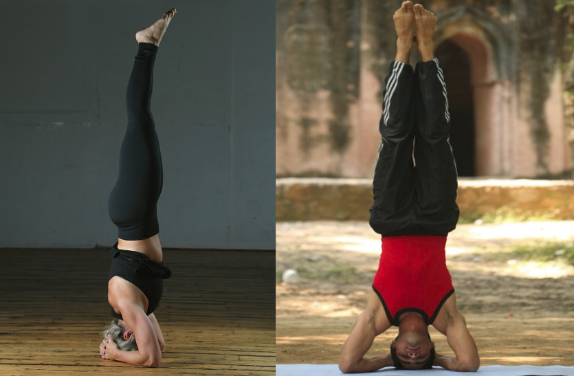 sirsasana Fitness samachar - शीर्षासन से ठीक रहता है ब्लड सर्कुलेशन