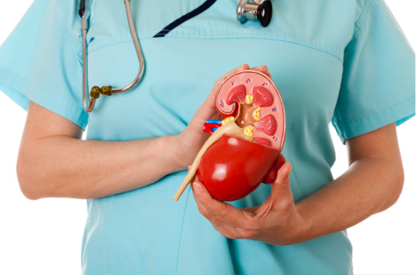 can-keep-kidney-healthy-in-these-ways किडनी को इन तरीकों से रख सकते हैं दुरुस्त