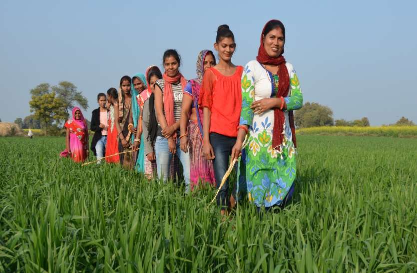 baran सूर्य को दिया अघ्र्य, गायों को खिलाया चारा