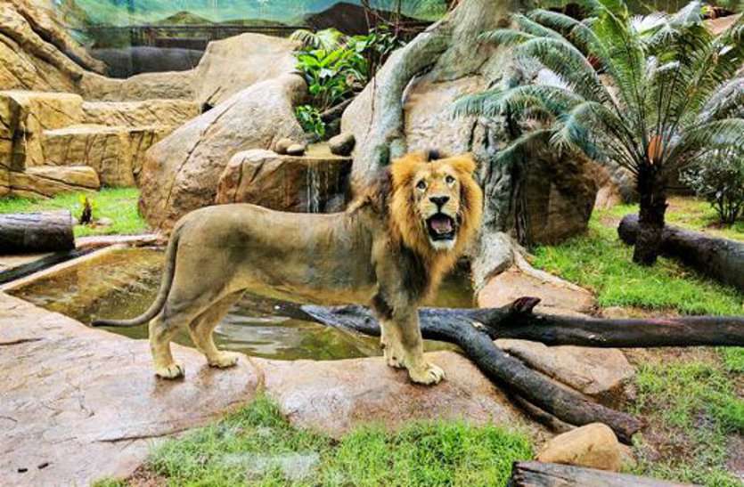 baran कोटा रोड के स्कूल में अब एबीक्यू पार्क