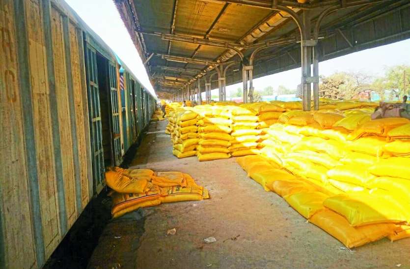 650 tonnes of urea manure found in Satna district of Madhya Pradesh मध्यप्रदेश के सतना जिले को मिली 650 टन यूरिया खाद, एक और रैक लगने की उम्मीद, किसानों की बल्ले-बल्ले