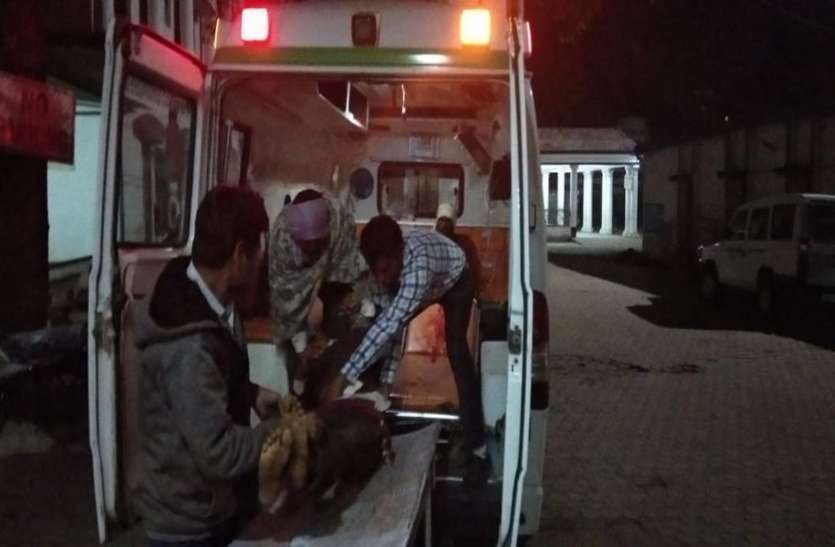five Injured in road accident पुलिया से नीचे गिरा ऑटो ,पांच घायल, एक गंभीर