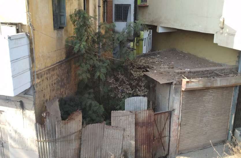 patrika 10 माह बाद भी नहीं हटा अतिक्रमण