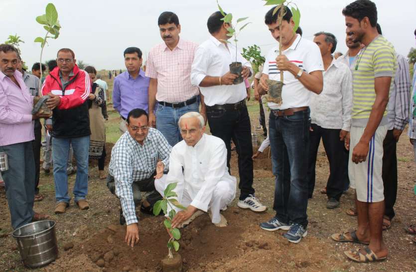khargone district how many plants for the record रिकॉर्ड के लिए रोप दिए लाखों पौधे, जांच शुरु होने से हरकत में विभाग