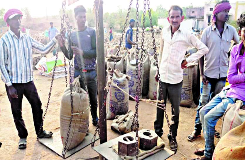 weights रीवा, सीधी-सिंगरौली तौल में फिसड्डी, सतना अव्वल