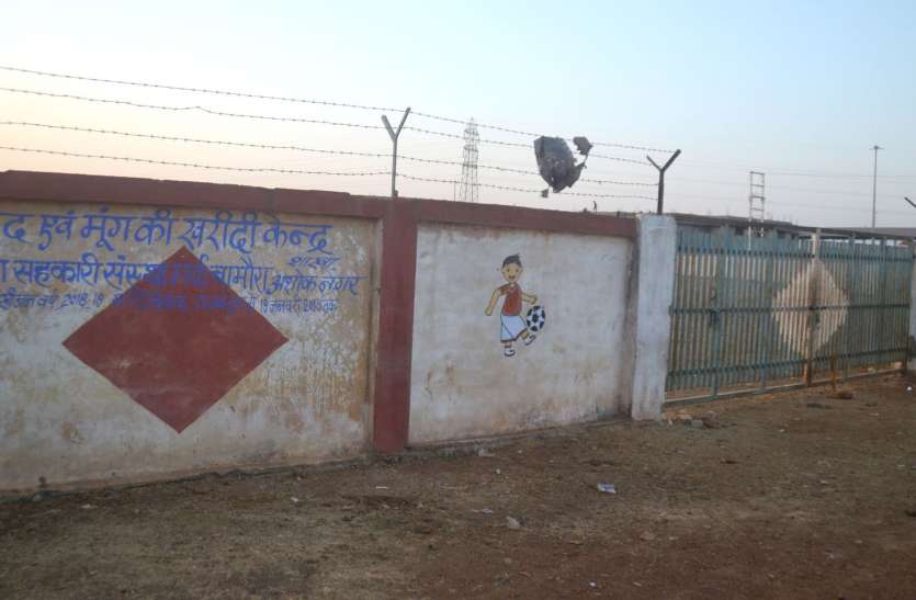 news 438 जनप्रतिनिधि ऐसे जो खुद हैं किसान, फिर भी समर्थन मूल्य पर नहीं बिकवा सके किसानों का उड़द