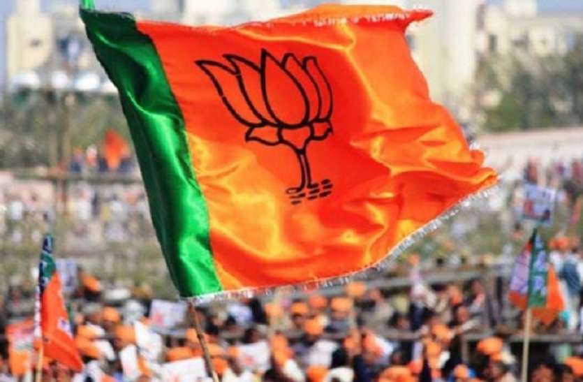 bjp losses मंत्री हारे, भाजपा का वोट बैंक भी घटा, बसपा ने बढ़ाई मुश्किल