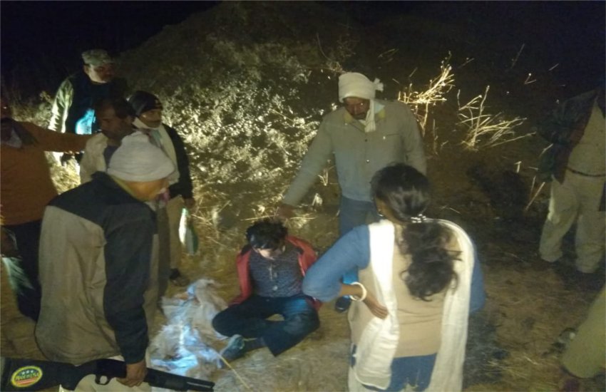 शिकार कर खेत पर जंगली शूकर का मांस पका रहे आरोपियों को आधी रात दबोचा शिकार कर खेत पर जंगली शूकर का मांस पका रहे आरोपियों को आधी रात दबोचा
