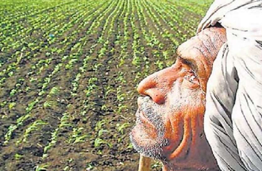farmer राजस्थान में किसान कर्जमाफी को लेकर आई ये बड़ी खबर, जिला कलेक्टर के लिए जारी हुए ये निर्देश