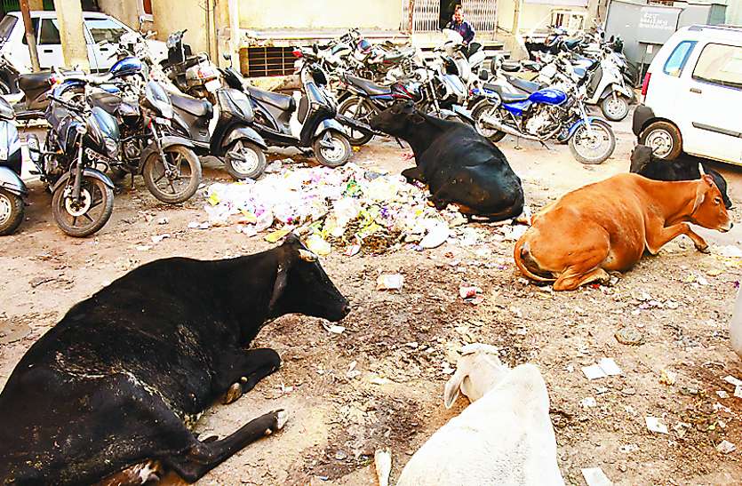 jaipur nagar nigam परीक्षा की घड़ी नजदीक, लेकिन अब तक पूरी नहीं हो पाई तैयारी