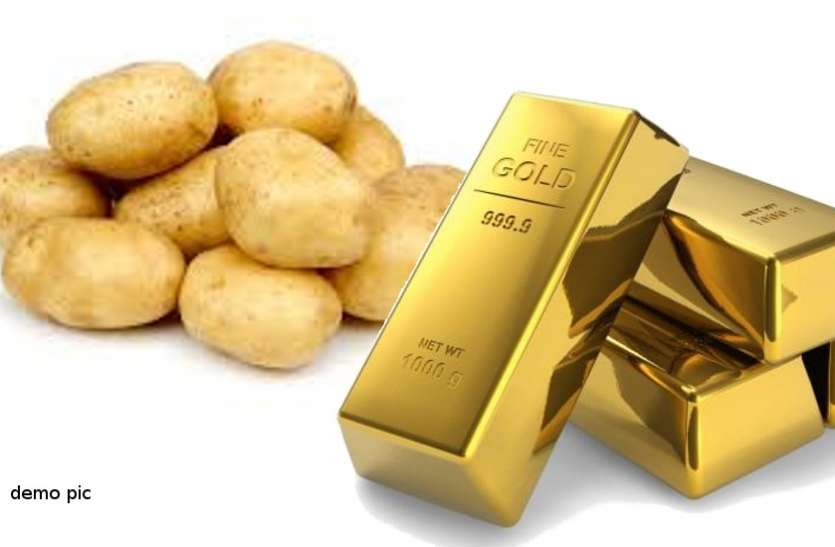 aloo se sona banane wali machine read must ये है सोना उगलने वाला आलू, इन किसानों की चमकी किस्मत!