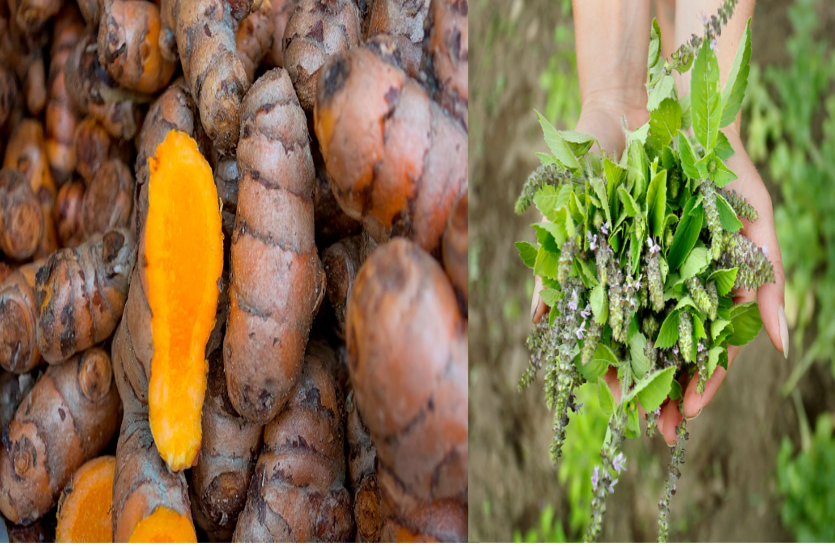 these-home-remedies-is-good-for-health सेहत के लिए सुरक्षा कवच हैं ये घरेलू नुस्खे