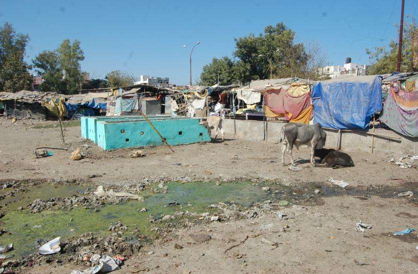 patrika सब्जियों से बनने वाली खाद यूनिट मवेशियों के आतंक से हो रहा बेबस