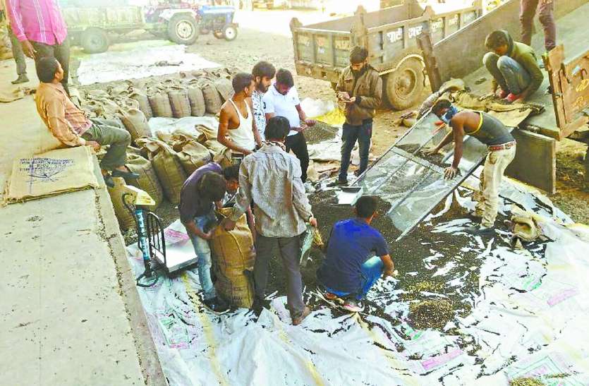 patrika भावांतर में उपज बेची, 700 किसानों ने जमा नहीं कराए अब तक दस्तावेज