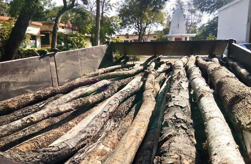 ट्रैक्टर में ले जा रहे थे अवैध इमारती लकड़ी, जांच में पकड़ाया ट्रैक्टर में ले जा रहे थे अवैध इमारती लकड़ी, जांच में पकड़ाया