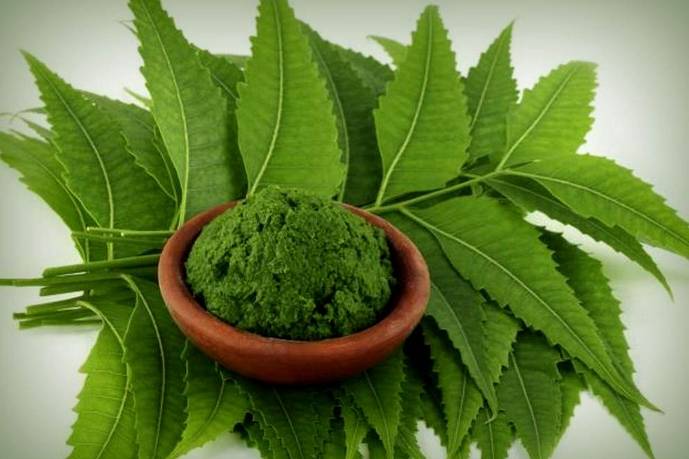 How to use neem leaves to reduce hair fall?