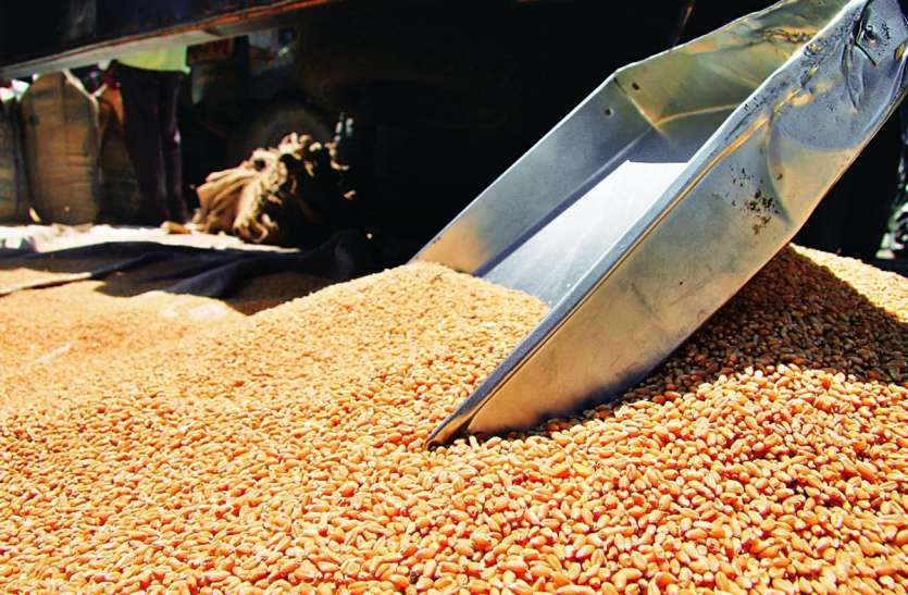 wheet msp:95 हजार किसान पोर्टल पर चढ़े सिर्फ 3 हजार