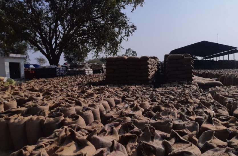धान मिलर्स की मनमानी से धान पर मंडरा रहा भीगने का खतरा
