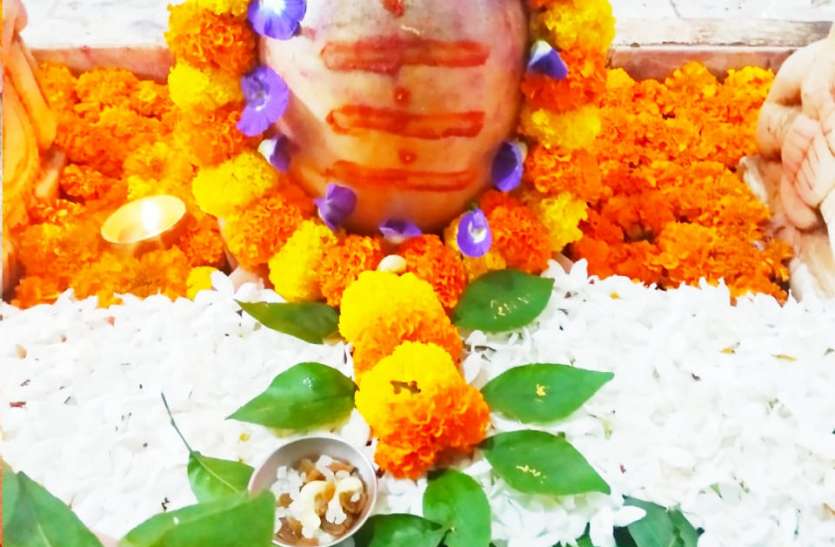 seoni तिरंगा के तीन रंग के फूलों से हुआ भगवान शिव का श्रृंगार