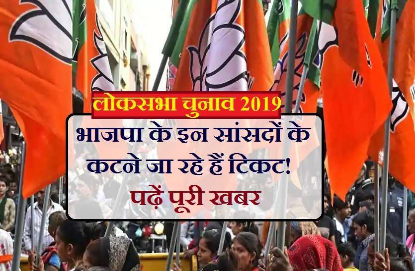 https://www.patrika.com/bhopal-news/these-mps-ticket-are-cutting-in-loksabha-election-2019-4041021/