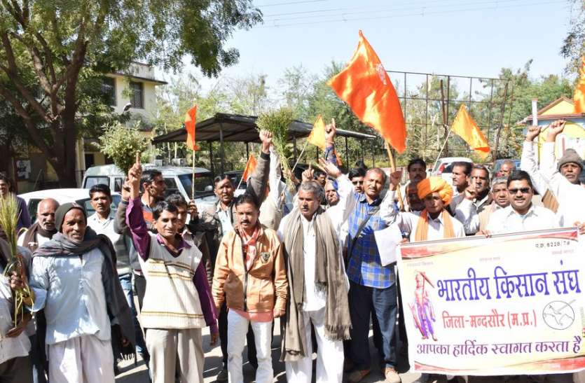 patrika VIDEO # खराब फसल लेकर पहुंचे किसानों ने मुआवजे की मांग की