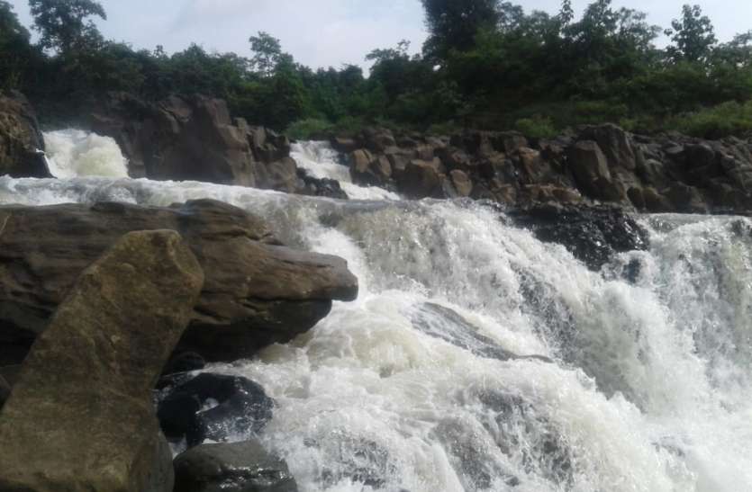 The victim of neglect is the unique gift of nature विश्व व समाज की बेहतरीन व्याख्या