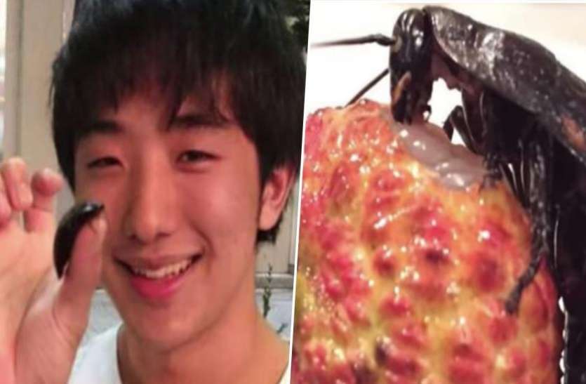 Japanese Boy Dated Cockroach Named Lisa