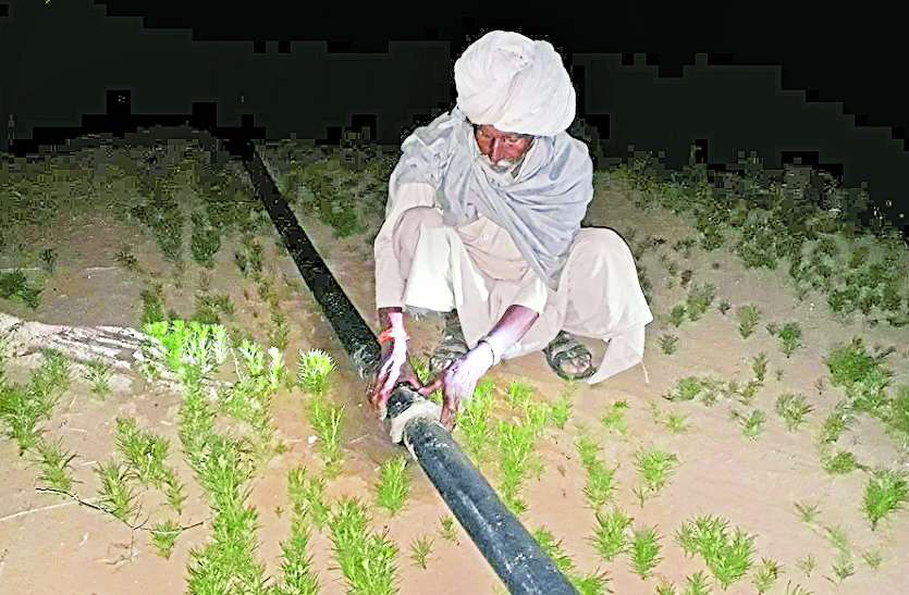 electricity connection for farmers सामान्य कृषक 8 वर्ष से कर रहे इसका इंतजार, नहीं हुआ काम