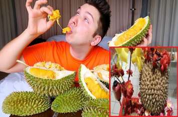 durian fruit smelliest fruit in the world sold in 70 thousand rupees दुनिया का सबसे बदबूदार फल बिका 70 हजार रुपए में, आती है सड़े हुए मोज़ों और नाले की बदबू