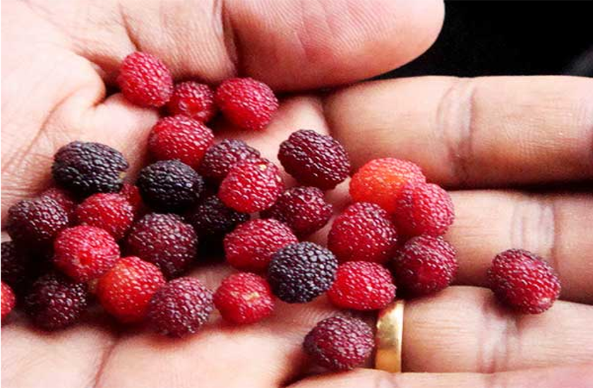health news
