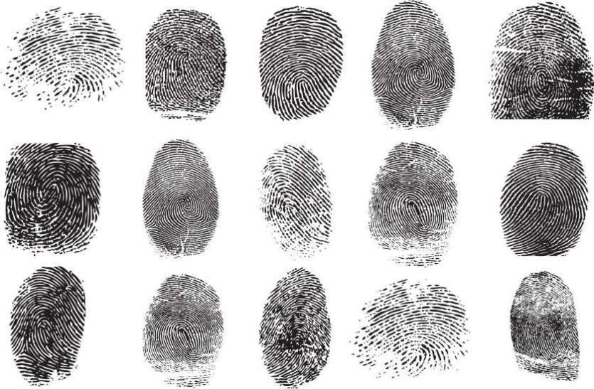Fingerprints इस वजह से उंगुलियों पर पाए जाते हैं निशान, हजारों साल पहले यहां हुआ था फिंगरप्रिंट्स से जुड़ी इन बातों का खुलासा
