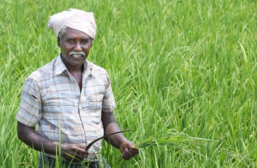 Kisan Karj Mafi : अलवर जिले में अब तक किसानों का इतना ऋण हुआ माफ, आप भी जानिए आंकड़े किसानों का 21.50 करोड़ से अधिक कर्ज माफ, नामान्तरण, बंटवारे के अधिकार ग्राम पंचायत को देने की तैयारी