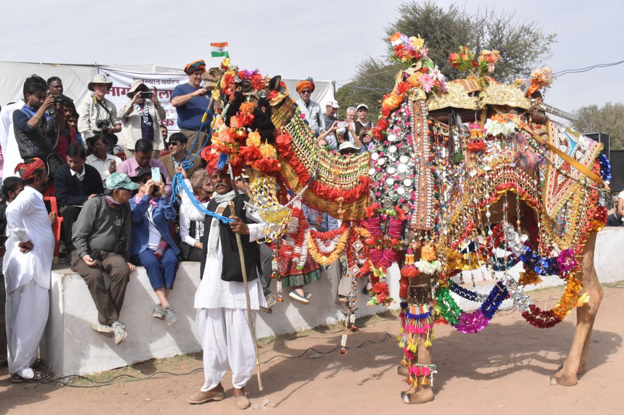 Ramdev Pashu Melaa In Nagaur रामदेव पशु मेला मैदान में सातवें दिन सांस्कृतिक पारंपरिक 5466