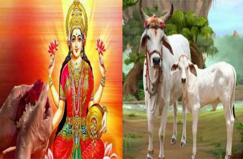 गाय के प्रत्येक अंग में निवास करते हैं यह देवी-देवता, गौ-पूजन से प्राप्त होती है इनकी कृपा गाय के प्रत्येक अंग में निवास करते हैं यह देवी-देवता, गौ-पूजन से प्राप्त होती है इनकी कृपा