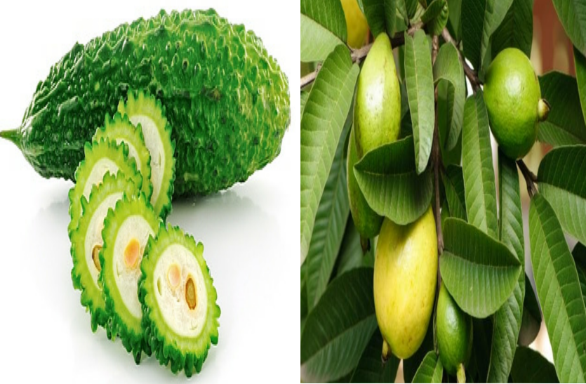 learn-about-the-benefits-of-guava-and-bitter-gourd जानें अमरूद और करेले के फायदों के बारे में