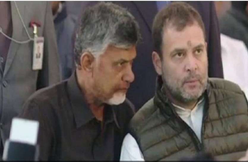 chandrababu naidu राहुल गांधी ने चंद्रबाबू नायडू की मांग का समर्थन किया, कहा- 'चौकीदार चोर को मिलकर हराएंगे'