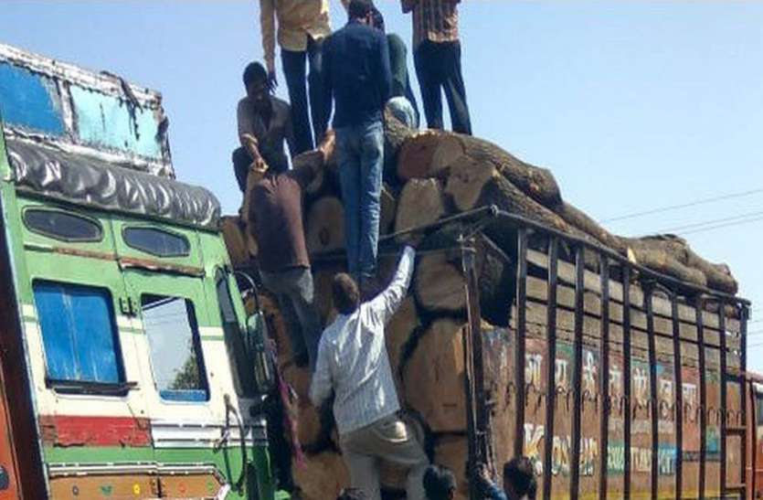 indore रात के अंधेरे में मंडी पहुंच रहे लकड़ी भरे ट्रक