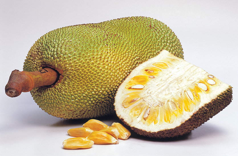 jackfruit-is-beneficial-for-many-diseases-of-the-body शरीर की कई व्याधियों के लिए लाभदायक है कटहल, एेसे करें सेवन
