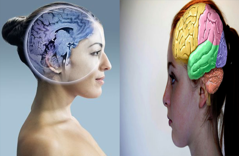 Know These Special Things About Your Brain - जान लें अपने दिमाग के बारे में  ये खास बातें | Patrika News