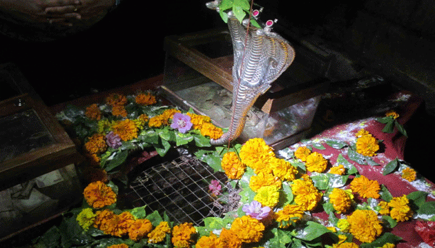 mahashivratri 2019