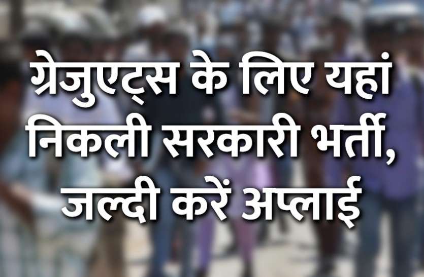 govt jobs in hindi, govt jobs, govt jobs 2019, Government Job 2019, Sarkari Naukri 2019, rajasthan news, rajasthan, राजस्थान, Sarkari Naukri Search, Latest Government job, govt jobs, jobs in hindi, sarkari jobs, 10th pass govt jobs, 12th pass govt jobs, Govt Jobs in Hindi, govt jobs in hindi, govt jobs in hindi, Sarkari Naukari 2019, सरकारी नौकरी, सरकारी नौकरी 2019, rojgar samachar, employment news in hindi, rojgar samachar in hindi, upsc jobs in hindi, govt jobs 2019, 10th pass govt jobs 2019, UPSC, government jobs, UPSC exam, Govt Jobs, Sarkari Naukri, gail, sarkari jobs, employment news, sarkari naukari, rojgar samachar, employment news in hindi, latest government jobs, jobs in hindi, latest jobs news, latest government job, UPSC Jobs, sarkari job, sarkari naukri search, upsc vacancy, Latest Government Job: ग्रेजुएट्स के लिए निकली हजारों नौकरियां, जल्दी करें अप्लाई