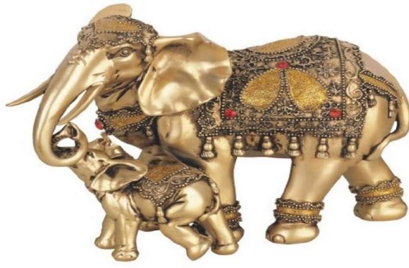 It Is Beneficial To Keep Elephant In Home It Brings Good Luck -                  Patrika  News