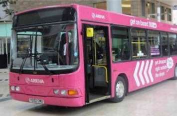bus bus