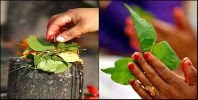 mahashivratri 2019