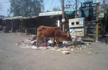Bus stacks near the bus stand, lack of cleanliness बस स्ठेंड के पास लगे है कचरे के ढेर,सफाई का अभाव
