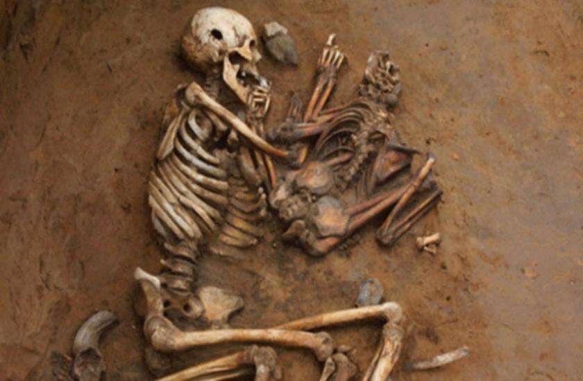 Skeletons found in Hadappa